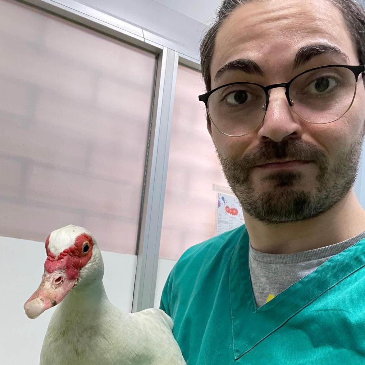 Oculistica Veterinaria Torino Genova